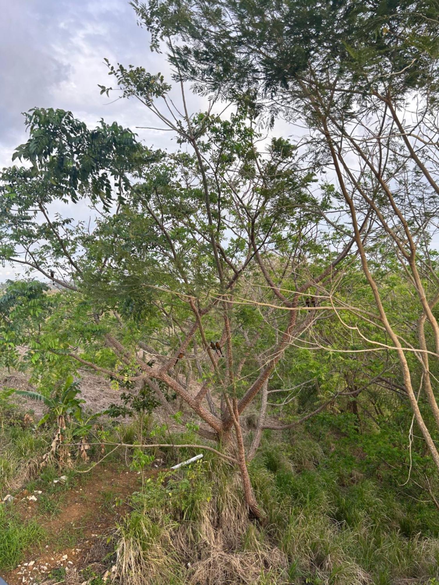 Robyn'S Nest Hotel Scarborough Luaran gambar